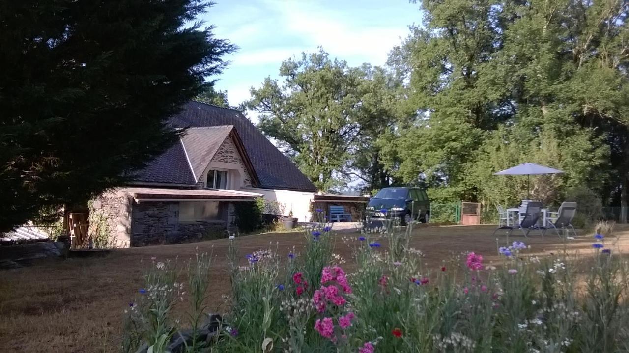 Mirandol-BourgnounacGite De La Maison Bleue别墅 外观 照片